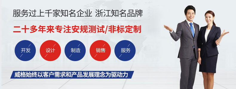 威格Z系列直流電力測功機(jī) 出廠測試系統(tǒng) 綜合性能對拖臺(tái)架 型式試驗(yàn)臺(tái)插圖16
